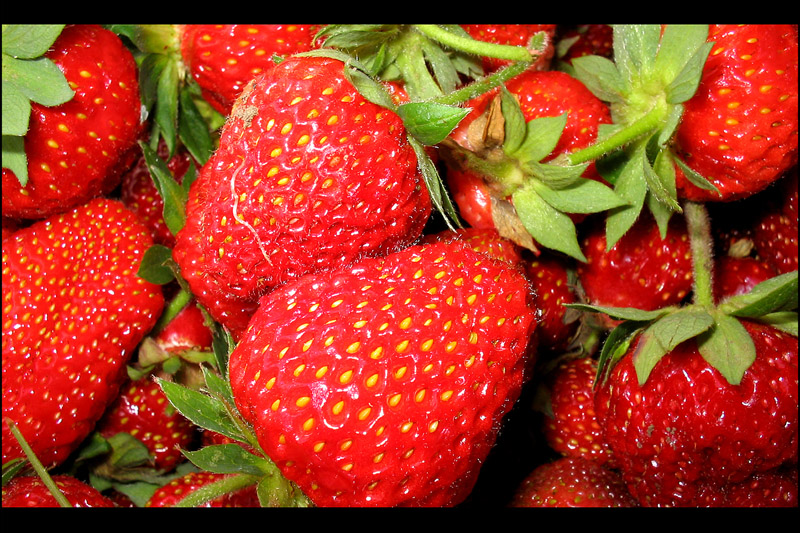 Fragola