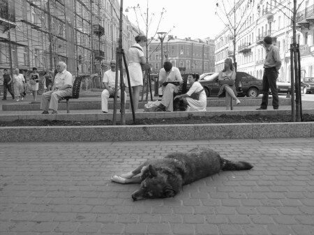 Забытый друг