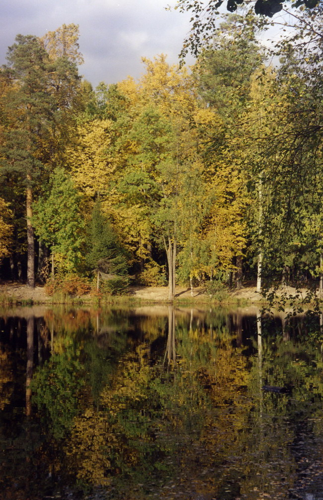Осеннее отражение