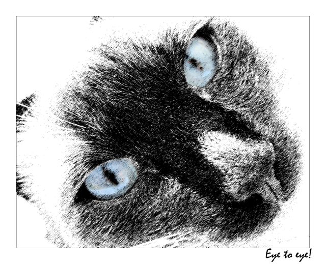 Eyes to eyes!