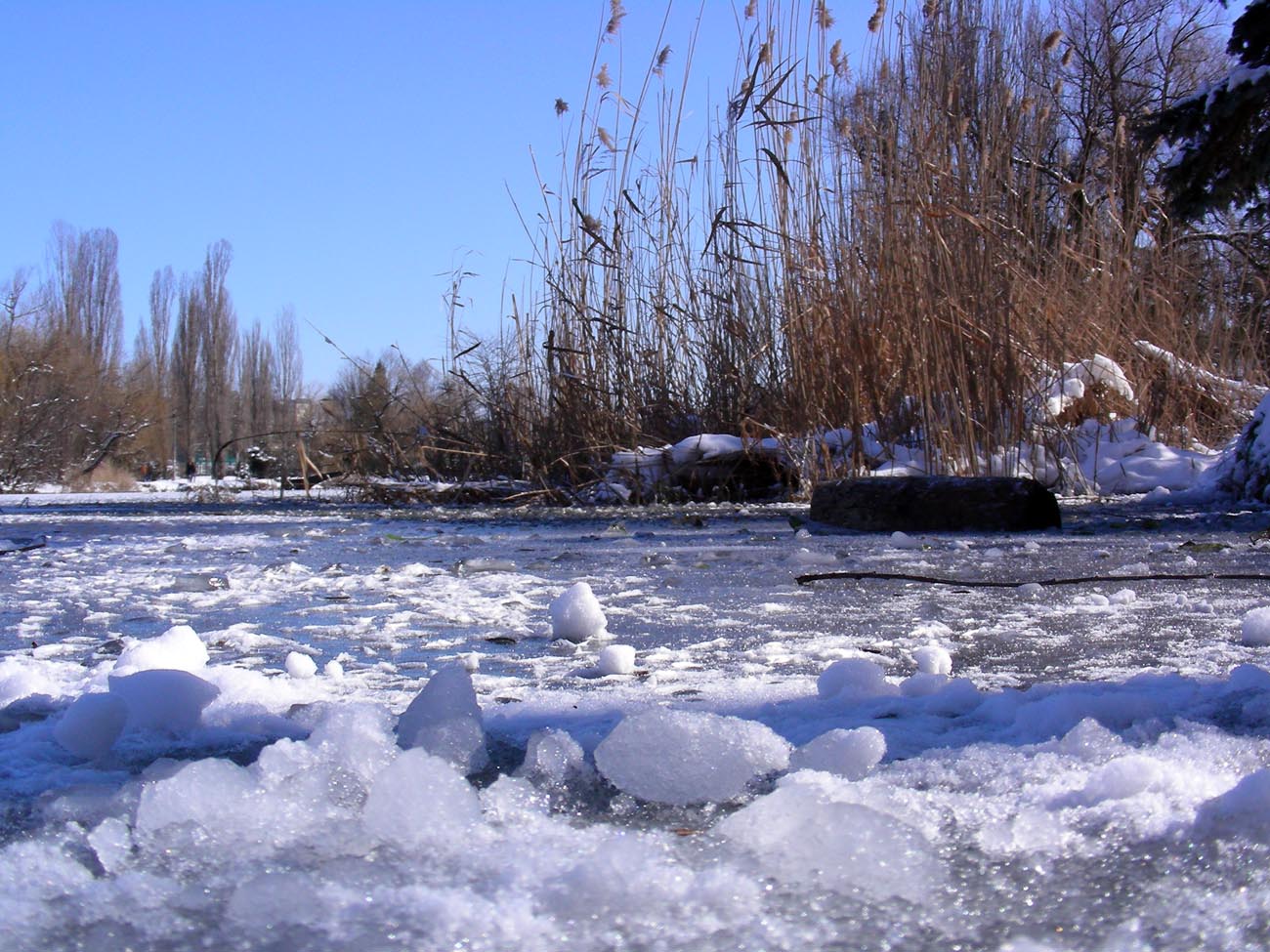 Вчера была зима