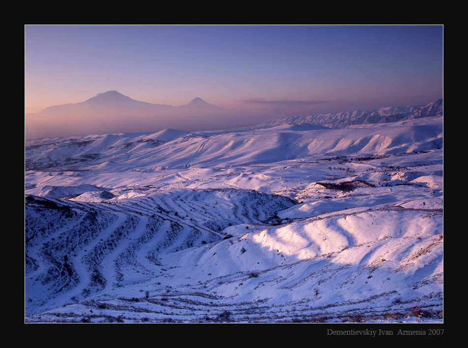 Арарат