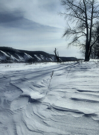 -20, с ветерком