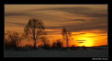 Завтра была весна