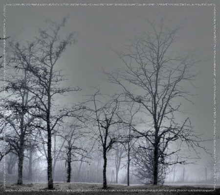 Облако на деревьях