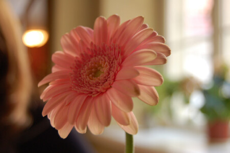 утром в кафе