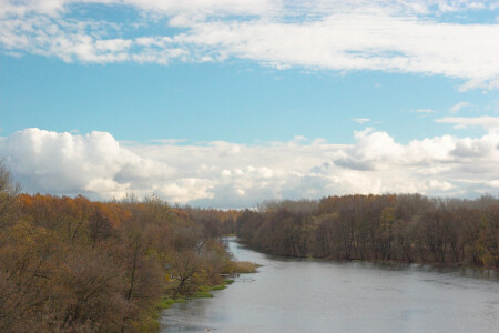 Без названия #1