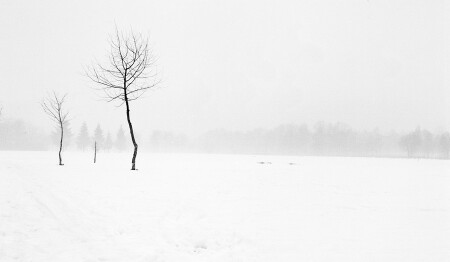 Фотография для медитации № 2