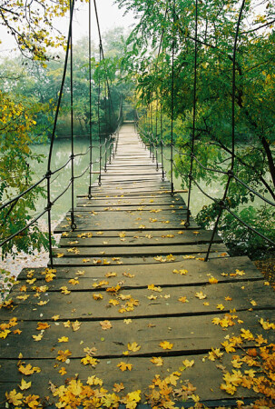 Азиатский мотив