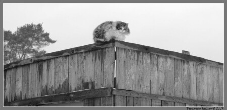 На стыке дорог