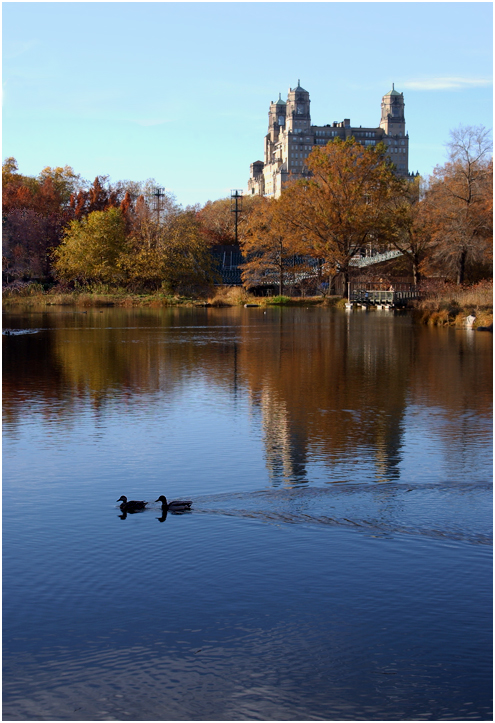 Central Park