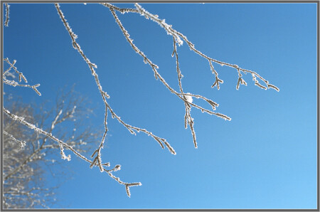 Навстречу Весне