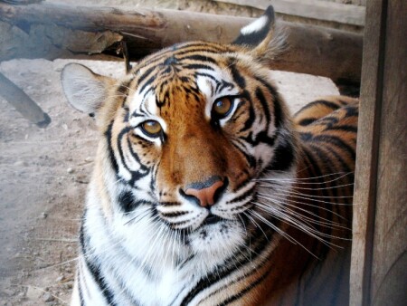 С интересом в глазах