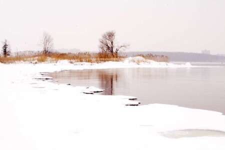 Ранняя оттепель