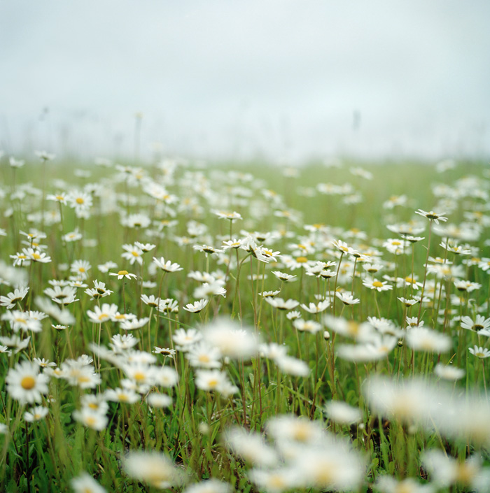 after rain