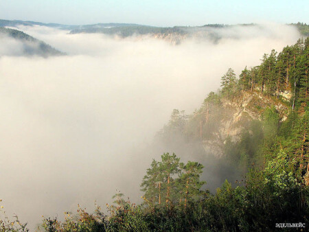 А я еду за туманом