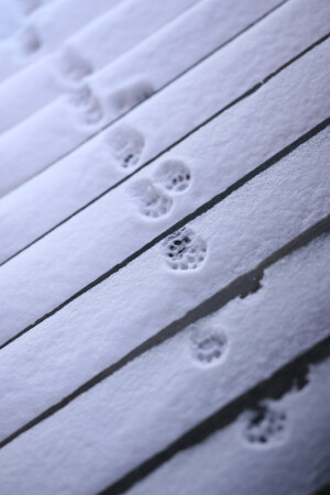 Дальний путь