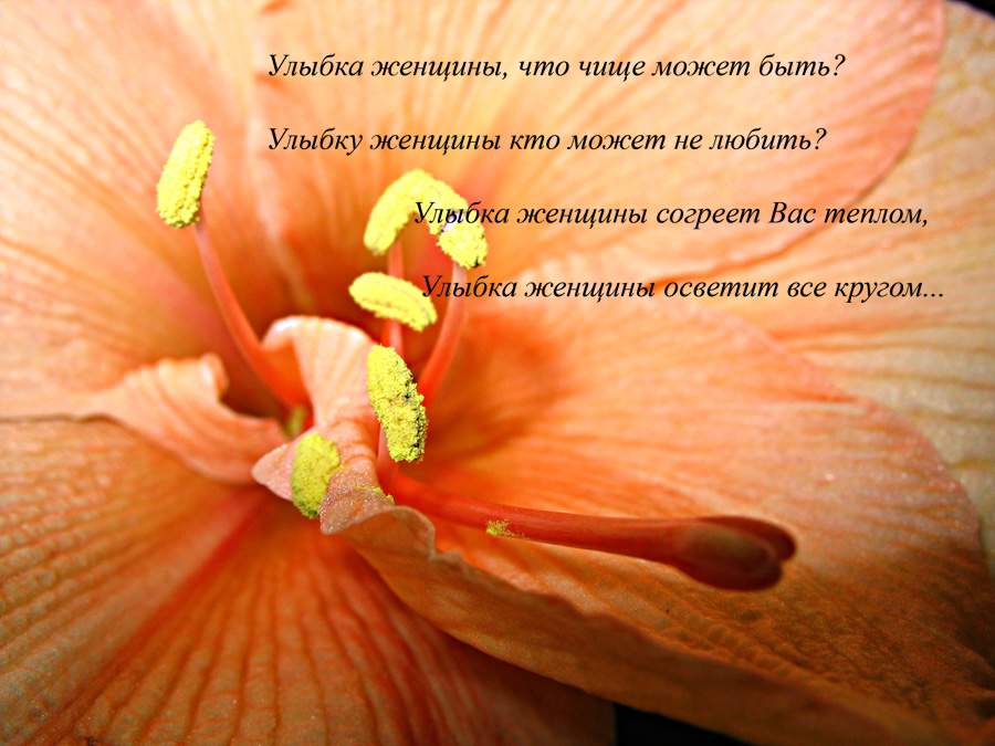 Загадки