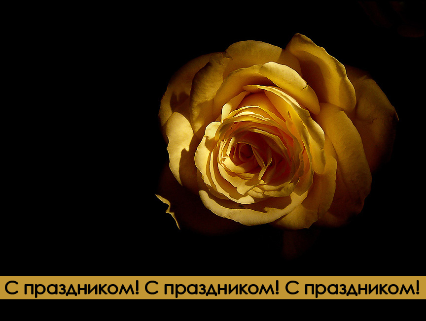Мужчины, мужайтесь!