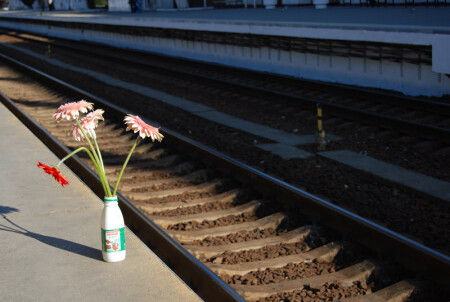 Памяти Анны Карениной