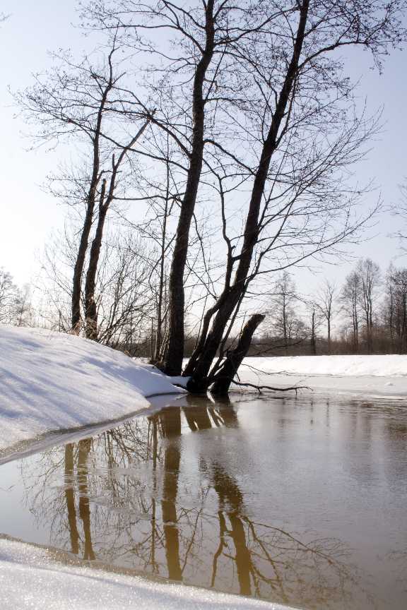 Талая вода