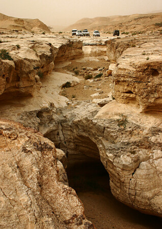 Edge of the ground