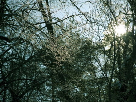 Предвесеннее