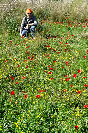 Дурманящая поляна