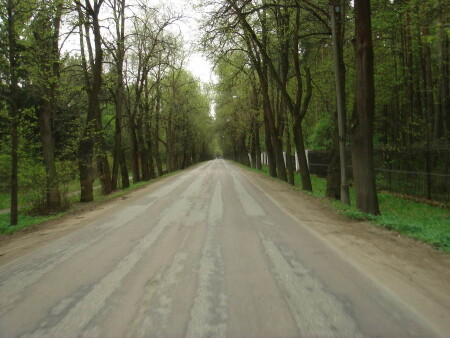 Дорога к жизни