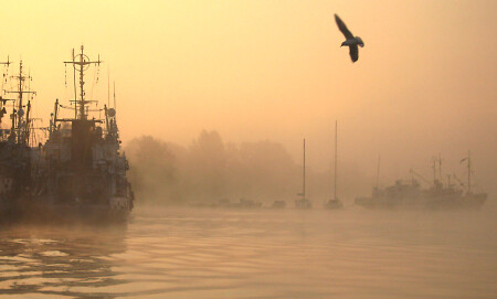 mist