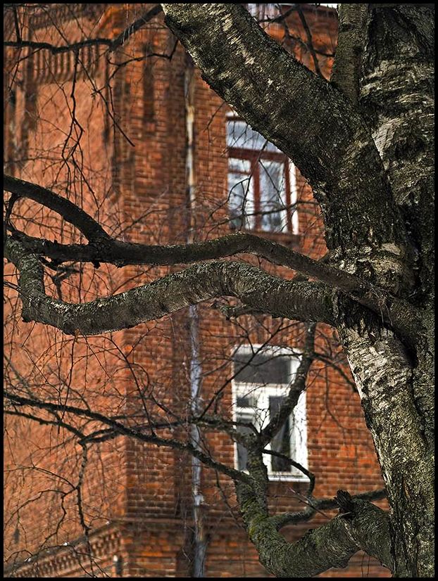 Ровесники