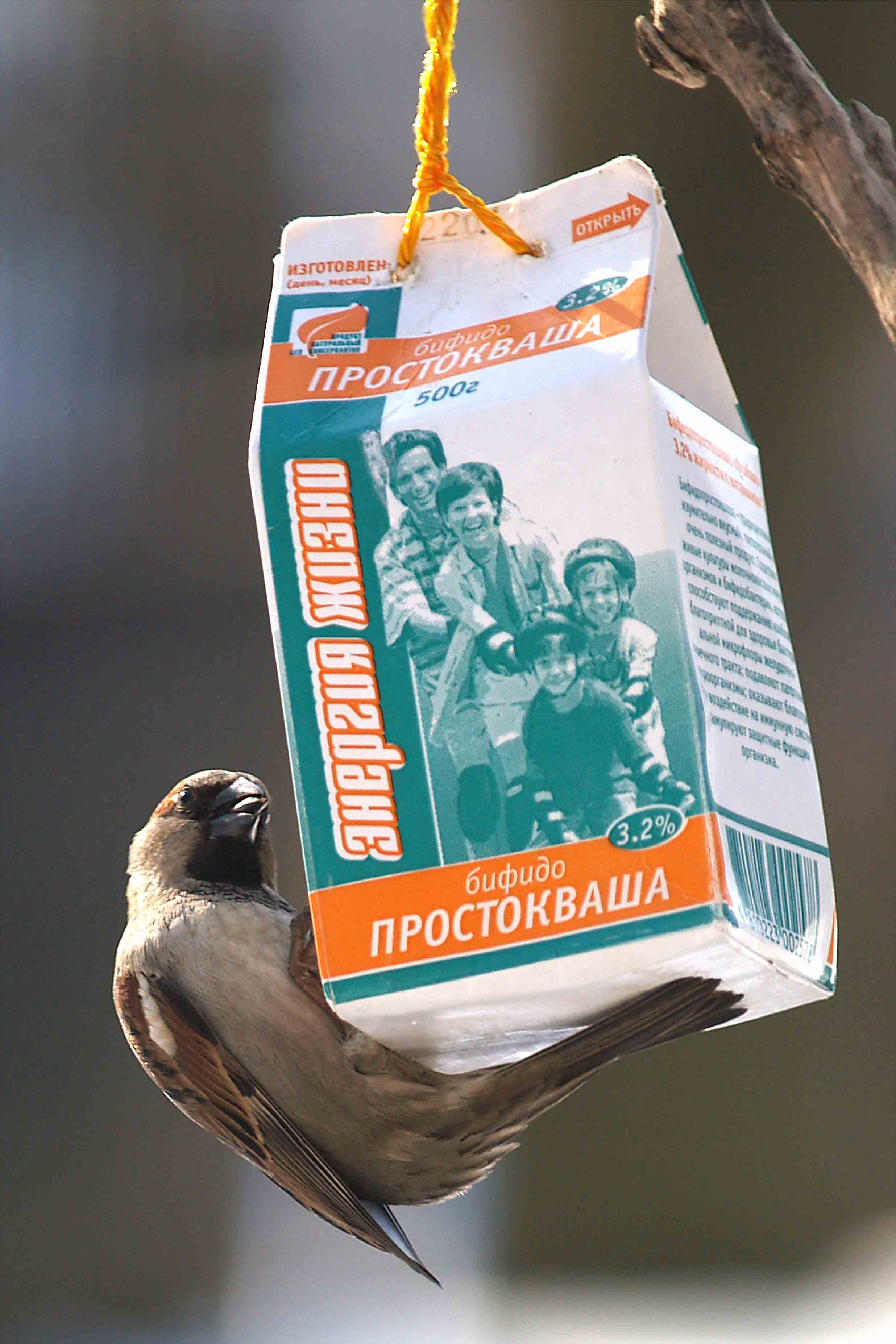 Я тоже млекопитающейся!