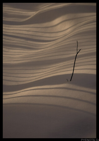 Dune...