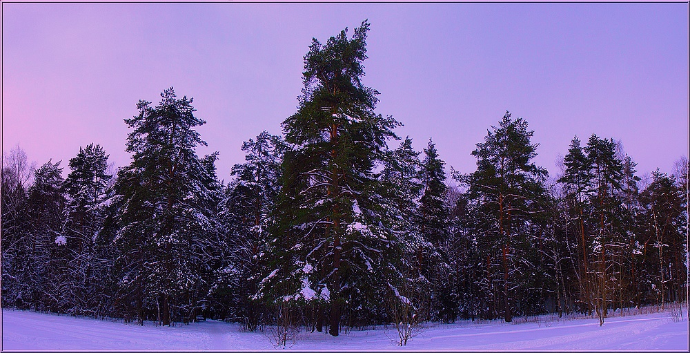 лес