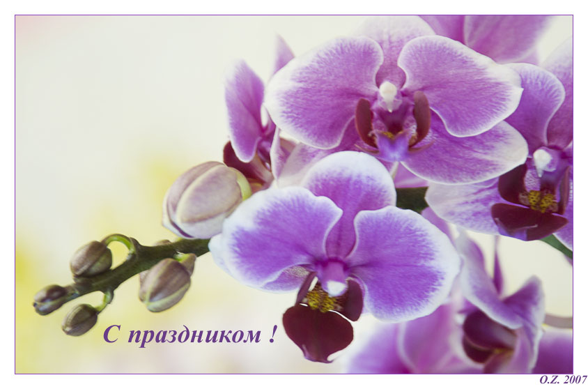C праздником!