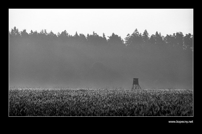 Melancholia