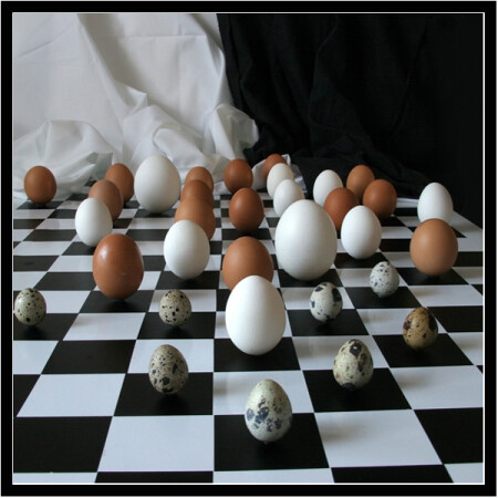 Многояйцевый дебют