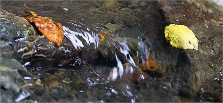 На разных берегах