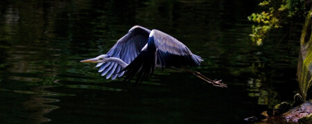 Надо делать...&amp;quot;крылья&amp;quot;