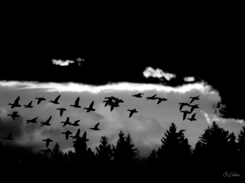 Октябрь