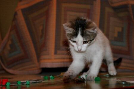 Карты, деньги, два ствола