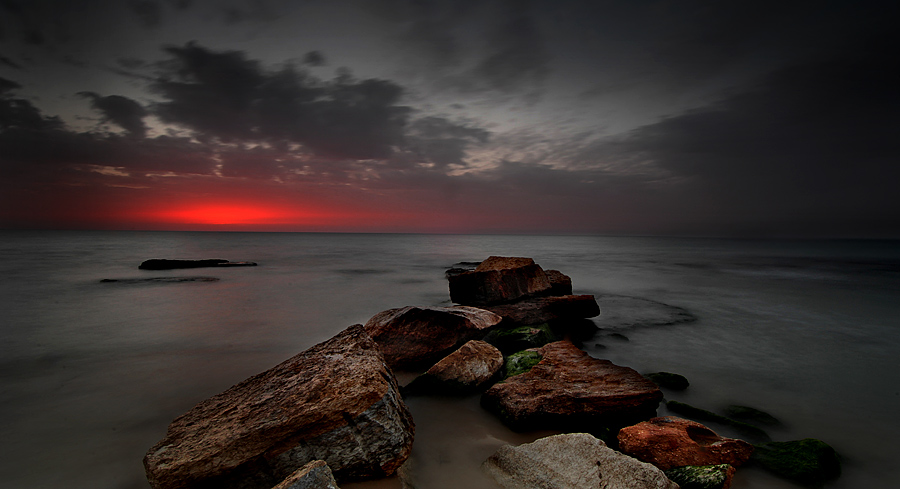 Mediterranean...........