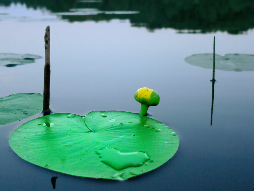 Китайская поэзия. Сердце воды