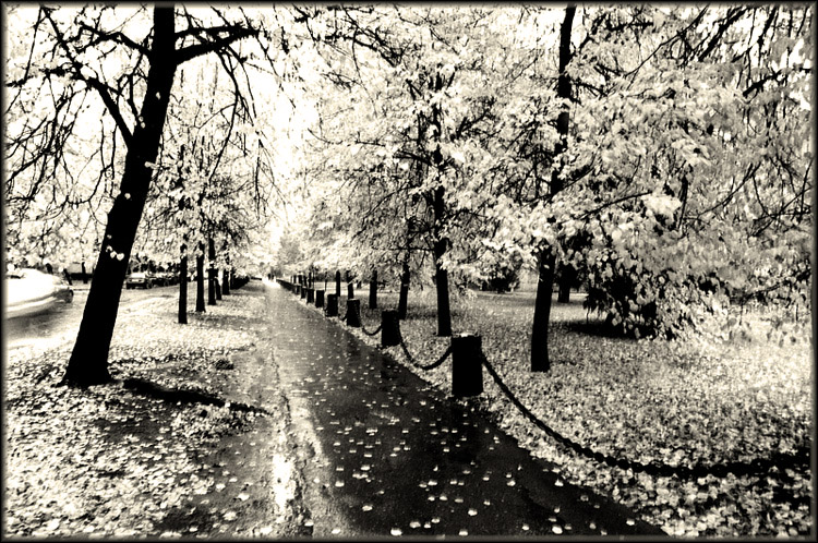 Городская осень
