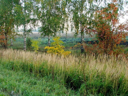 Осенние цвета