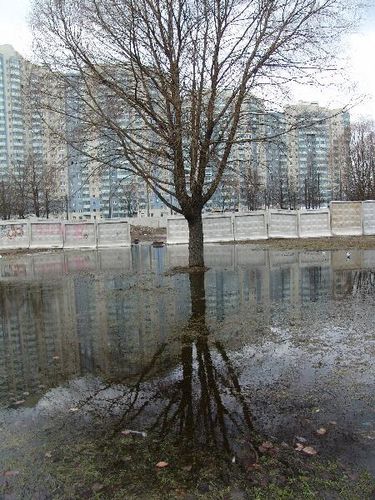 весна