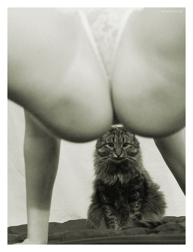 Позы... (100)