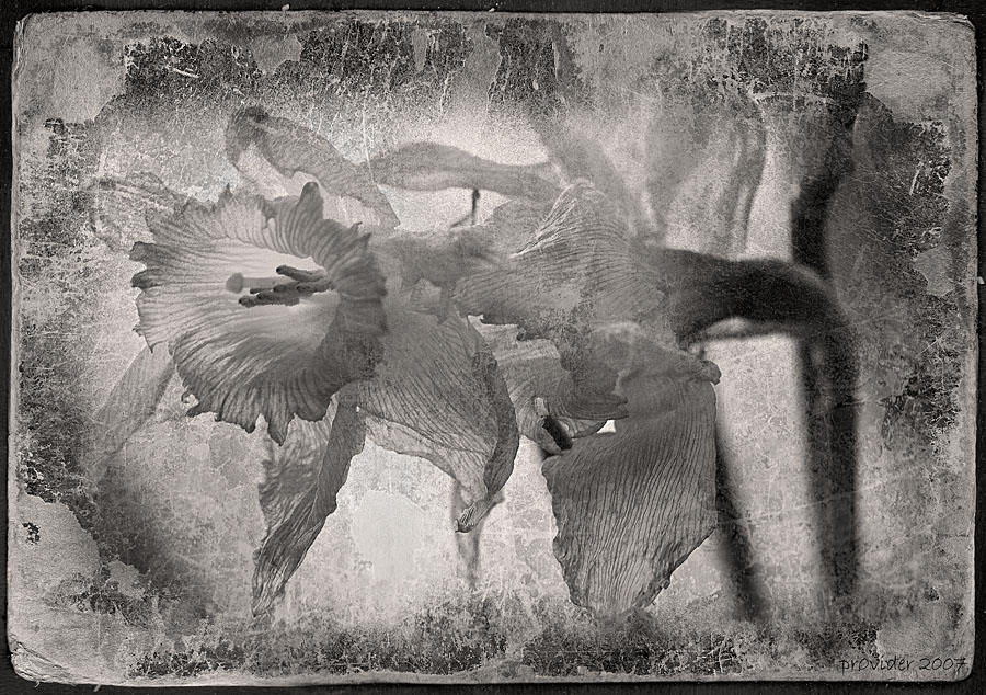 ***