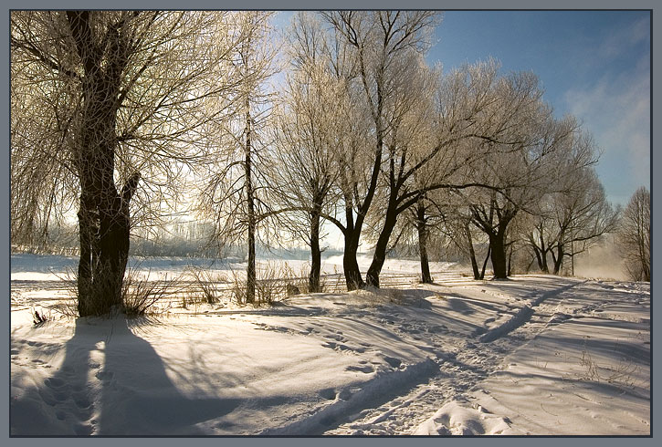 Про мороз, следы и тени