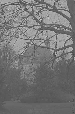 Pardon me but your teeth are in my neck